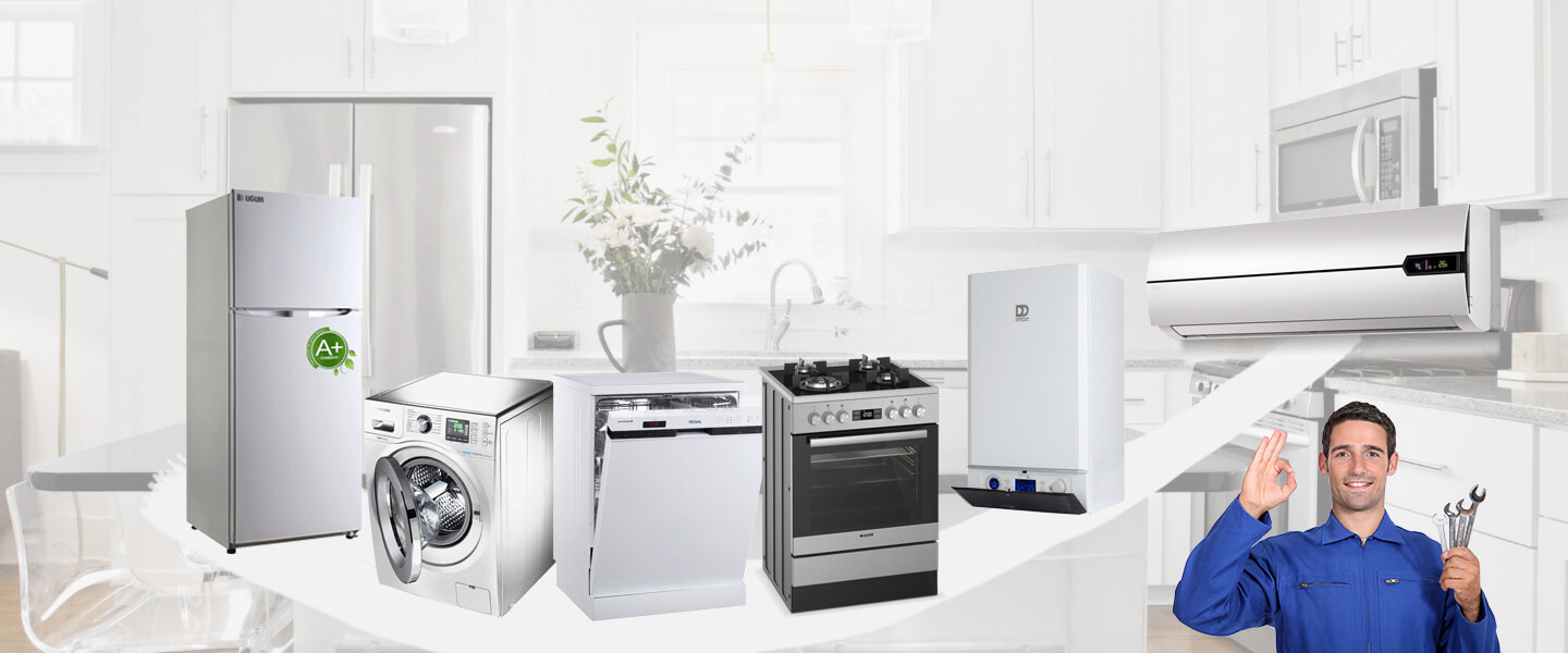 Sarıoğlan Dominox Servisi